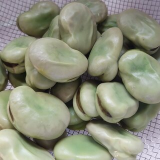 そら豆の塩茹で